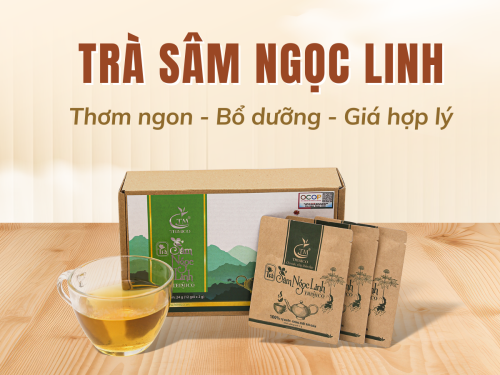 Top các loại trà sâm Ngọc Linh được ưa chuộng: Bổ dưỡng - Giá tốt